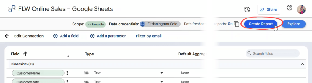 Figure 17. Creating a new report from the data source page