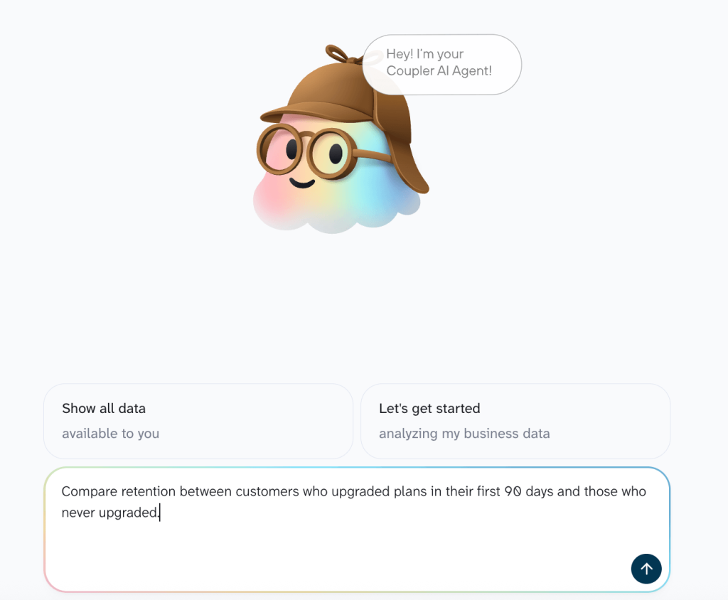 ai agent stripe data export