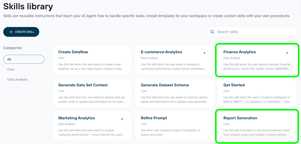 ai skills stripe data export