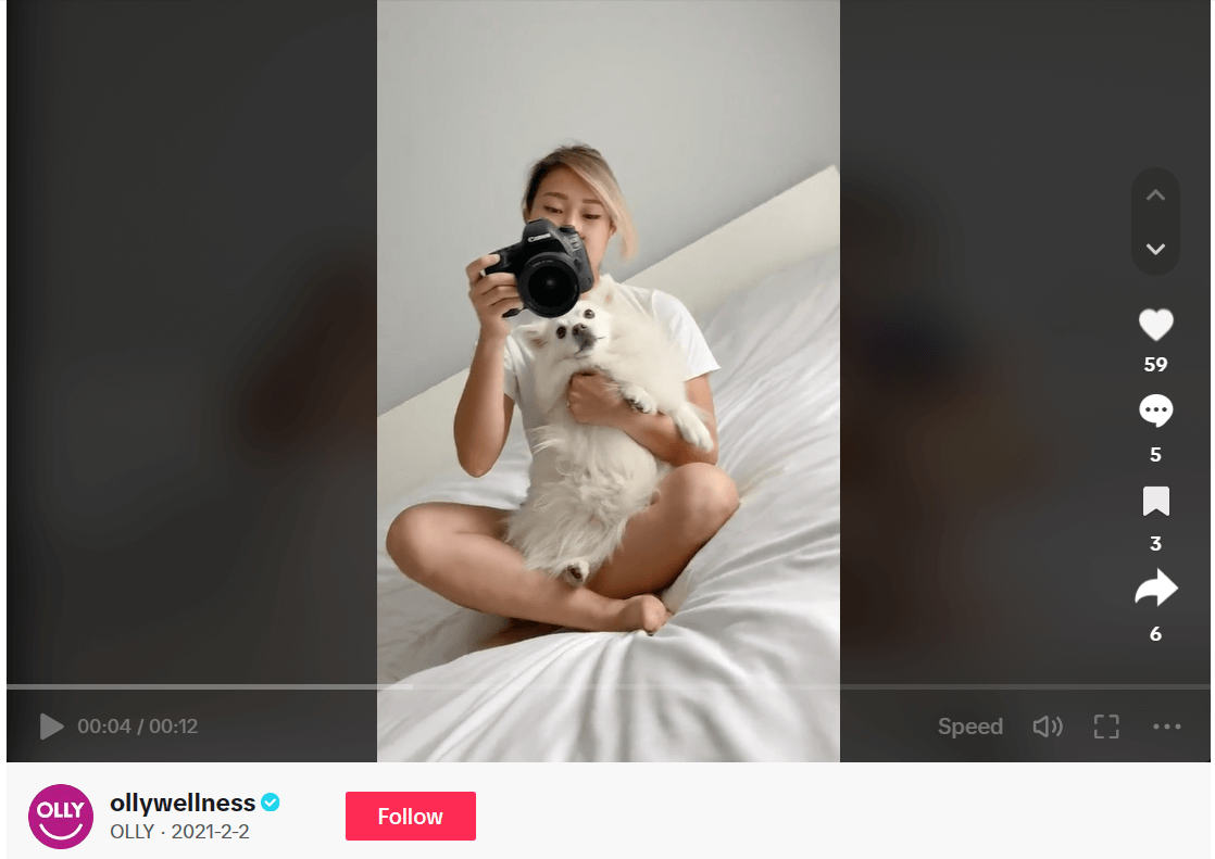 How to Maximize TikTok Influencer Marketing | Coupler.io Blog