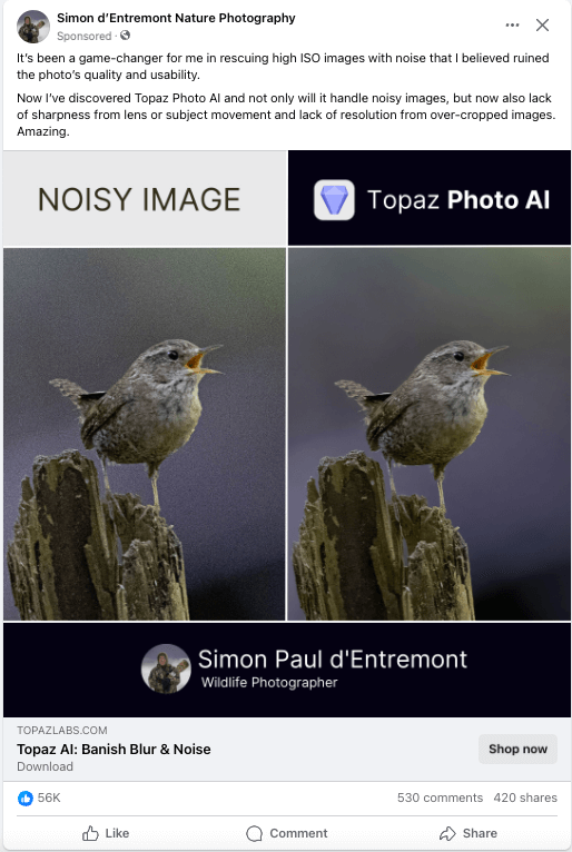 Imagen de dos pájaros en un anuncio de Facebook para una empresa de fotografía.
