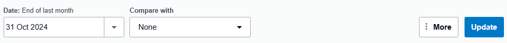 9 customize Xero report