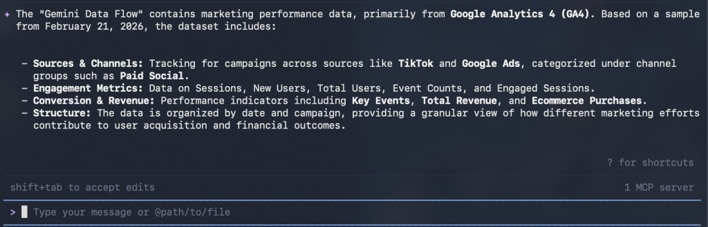 12. Gemini CLI (2)