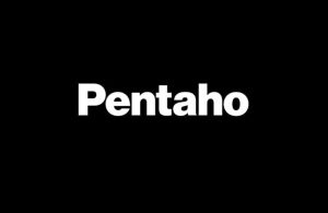 Pentaho Logo