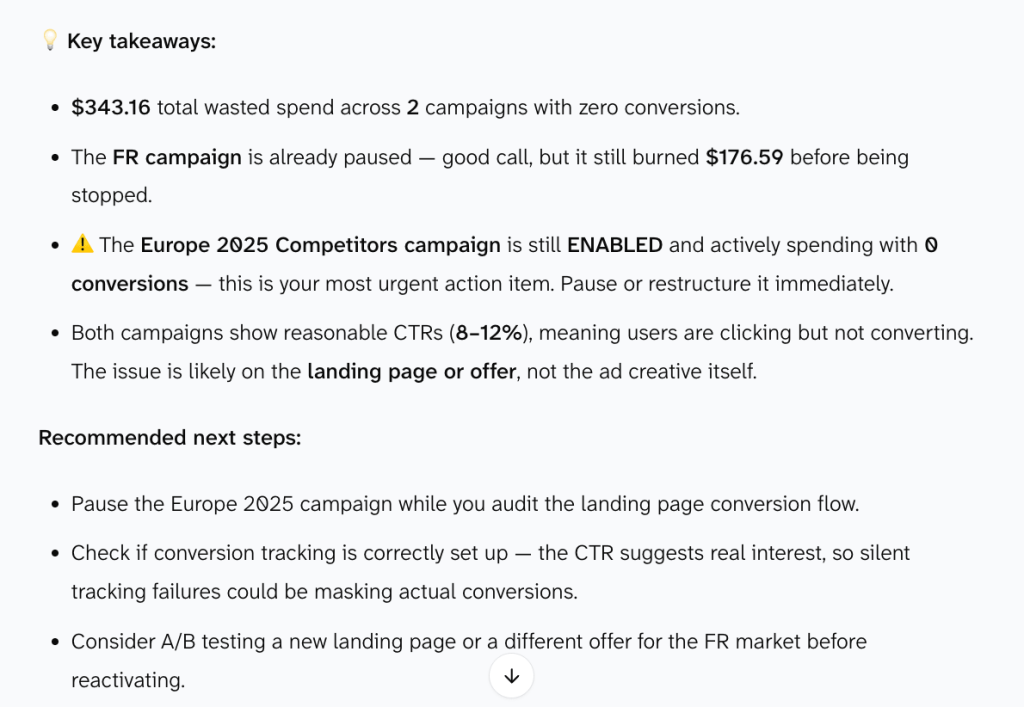 ai agent google ads spend report 2