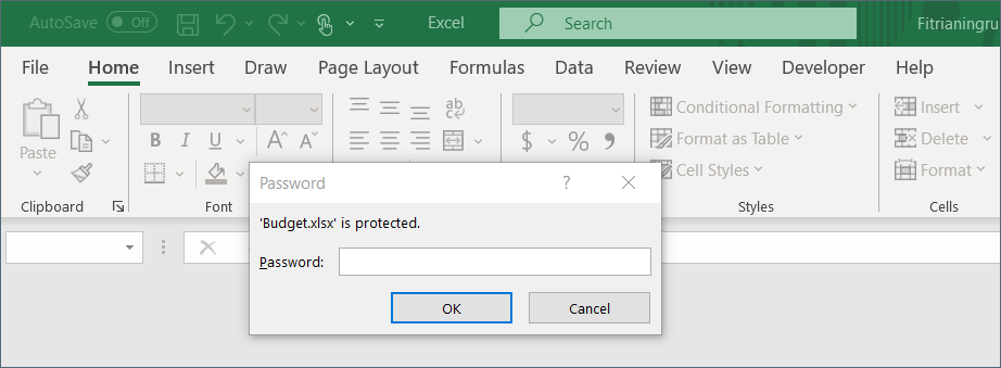 A password-protected Excel file