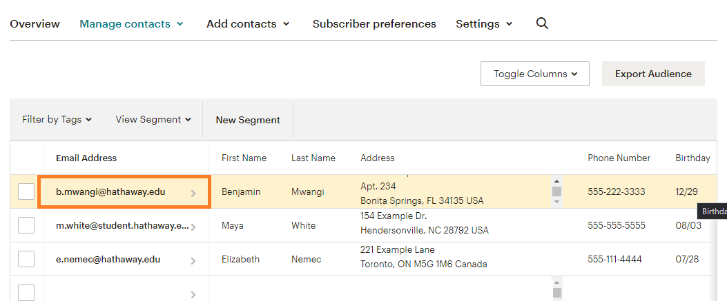 How to back up Mailchimp