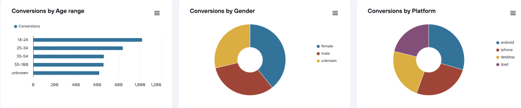 TikTok Ads (conversions by age gender)