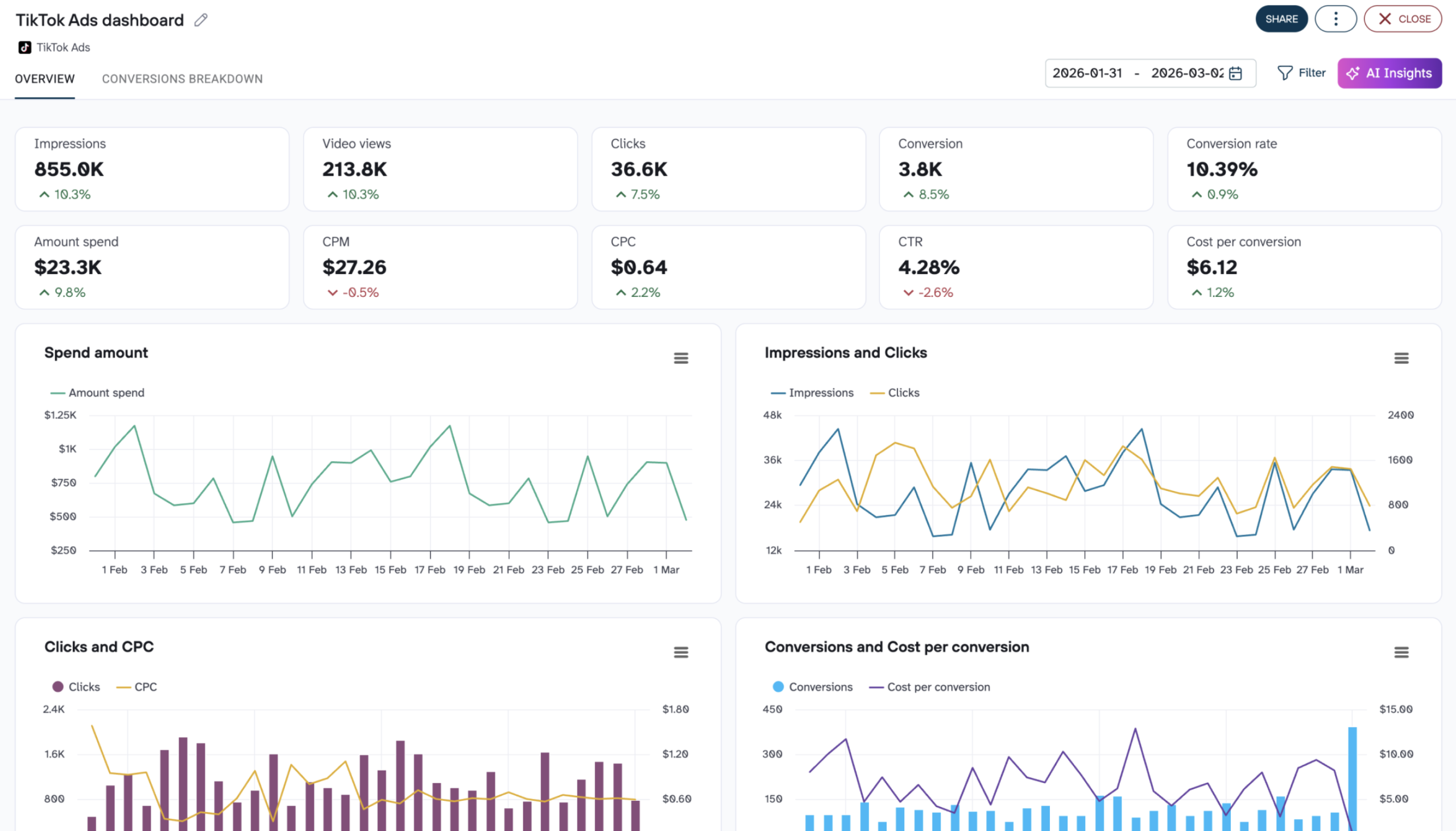 TikTok Ads dashboard