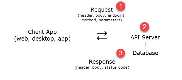 How to Use API | Coupler.io Blog