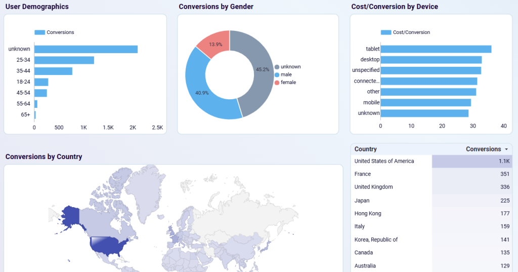 Google Ads dashboard - conversions by demographics