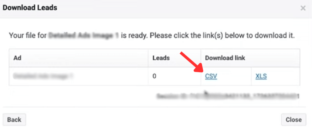 Download Leads Format
