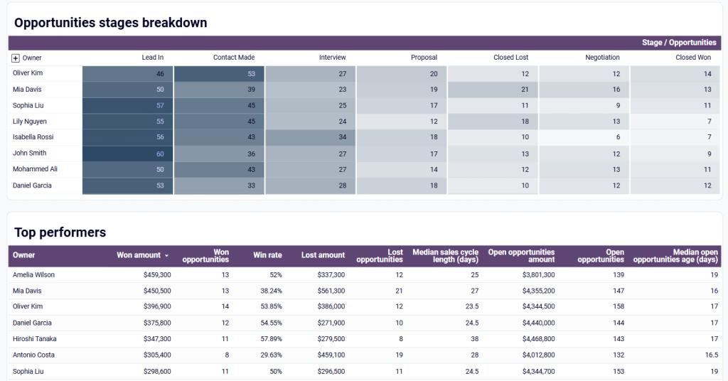 sales team performance dashboard