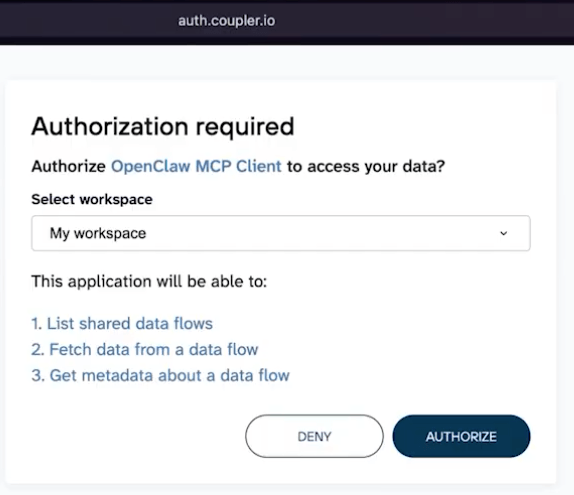 Coupler.io workspace to connect